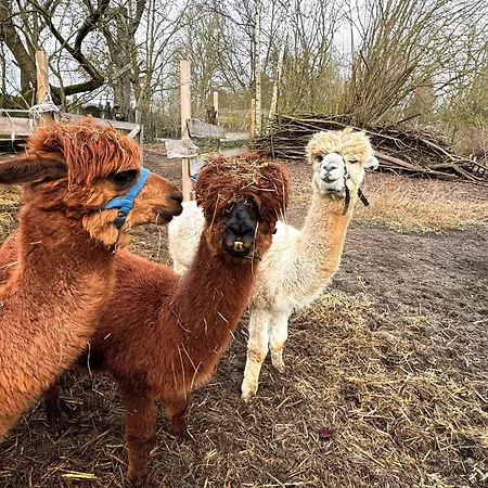 Heuhotel Farm Own Sleeping Bag Free Wifi Appartement 3*