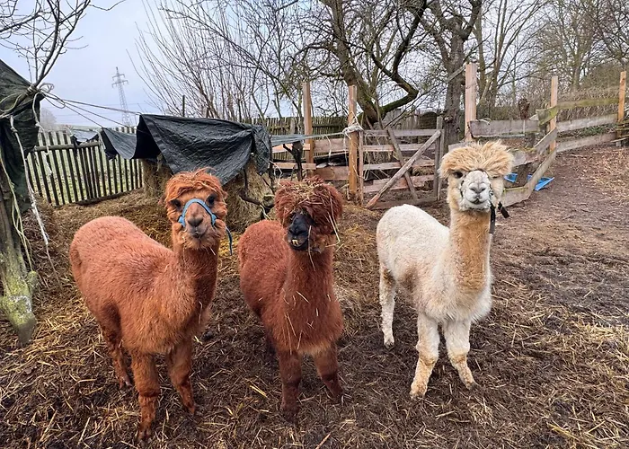 Apartamento Heuhotel Farm Own Sleeping Bag Free Wifi