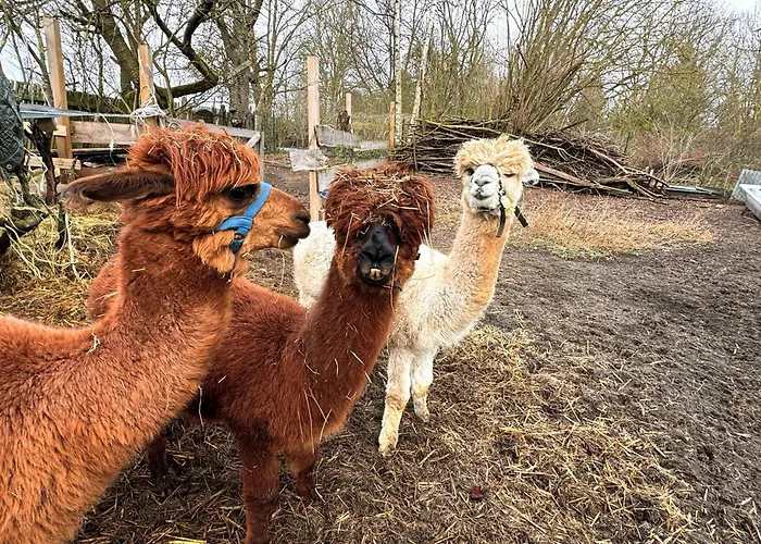 Heuhotel Farm Own Sleeping Bag Free Wifi Apartamento 3*